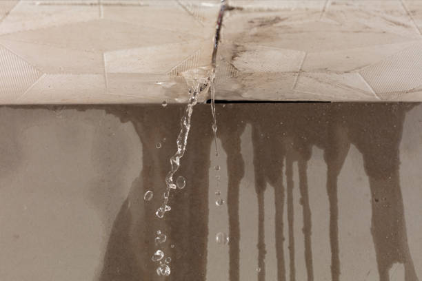 Professional Flood Damage Cleanup technician working in Clayton, MI